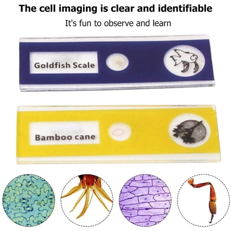 Kid's Portable Pocket Microscope with Adjustable 60-120x zoom - Tuckersgizmos.com