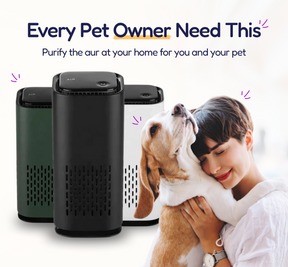 PET AIR PURIFIER - Tuckersgizmos.com