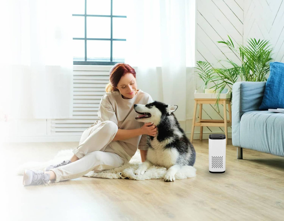 PET AIR PURIFIER - Tuckersgizmos.com